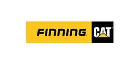 Finning cat